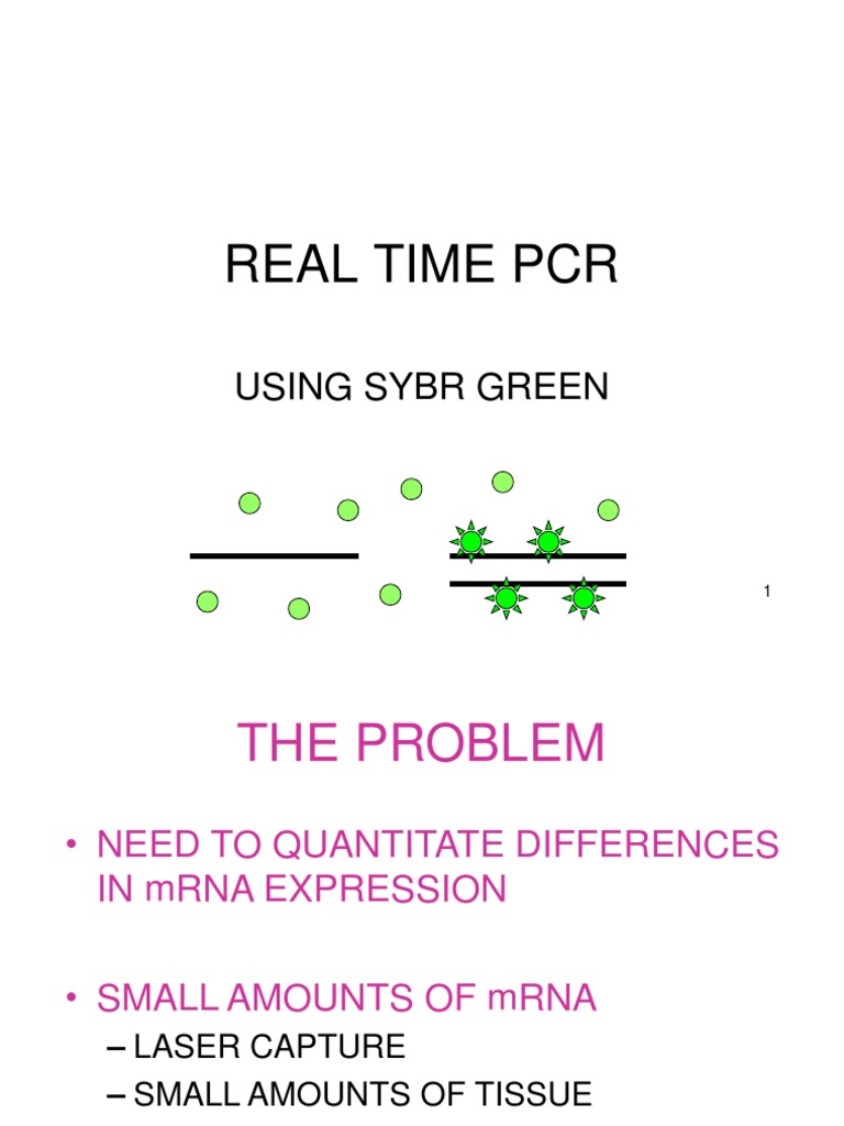RT PCR | PDF | Science & Mathematics