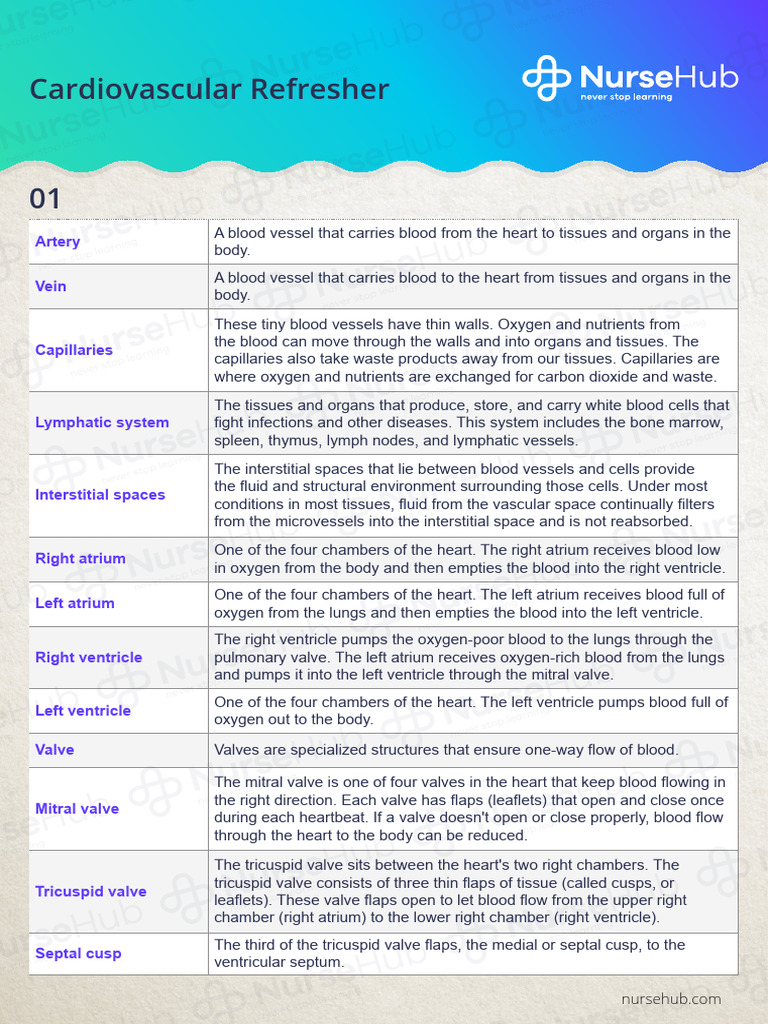FLASHCARD Section 2 Topic 1 Cardiovascular Refresher | PDF