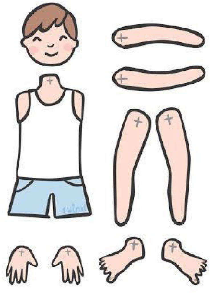 Maqueta Del Cuerpo Humano | PDF