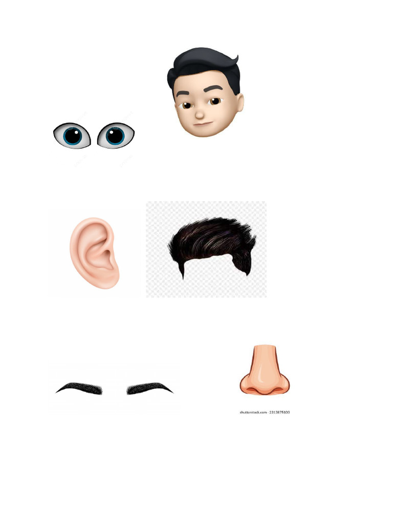 Bahasa Arab Anggota Tubuh | PDF