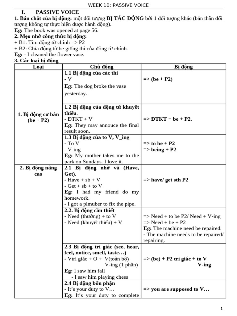 Module 10 - Passive Voice | PDF