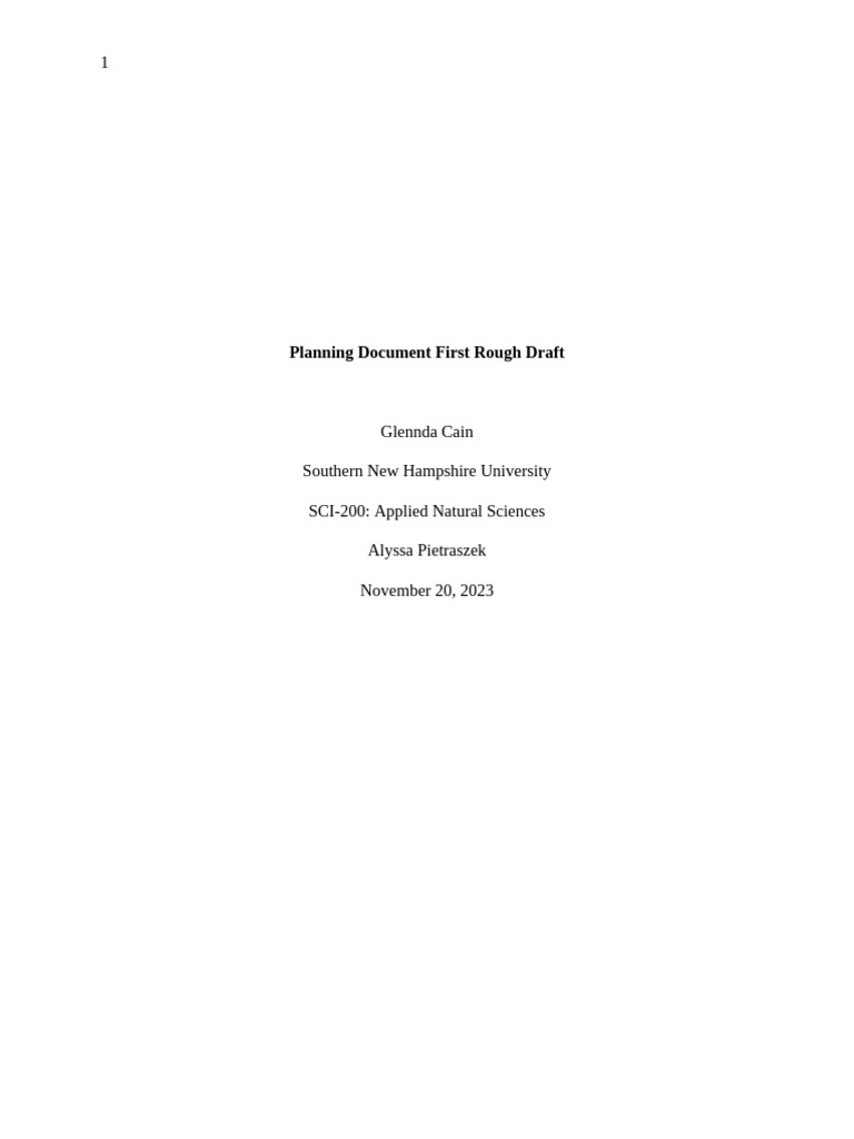 Planning Document First Rough Draft | PDF