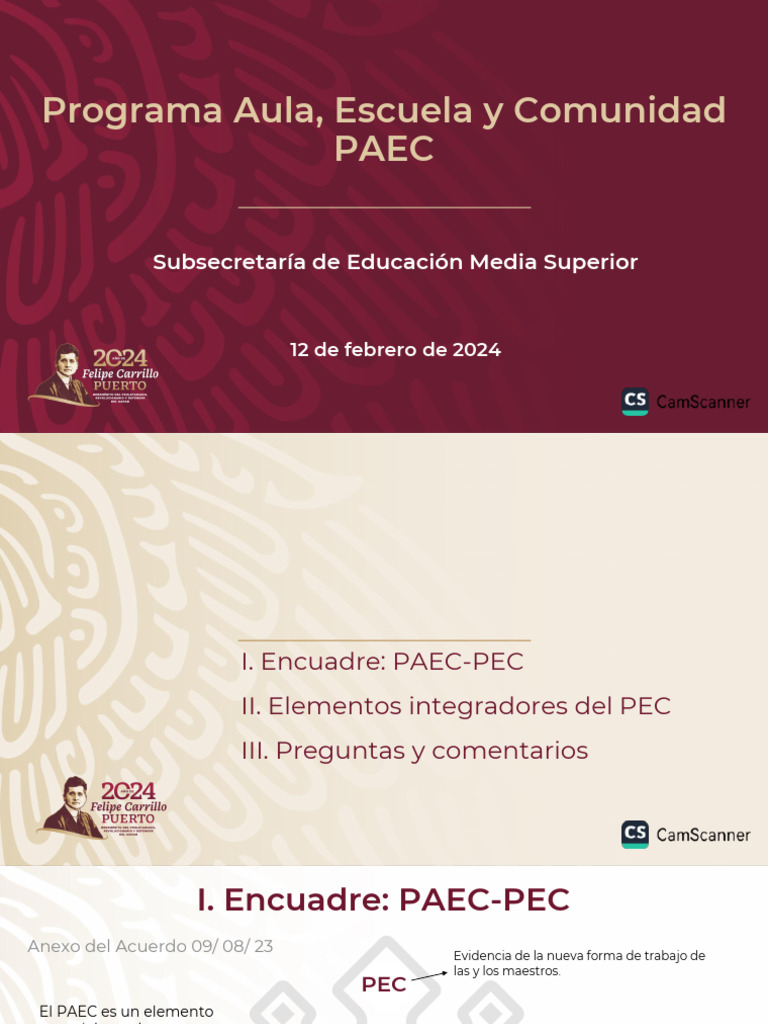 Presentación PAEC | PDF