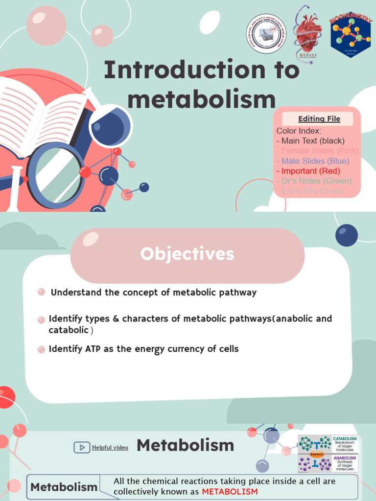 L9) Introduction To Metabolism Team444 | PDF | Metabolic Pathway ...