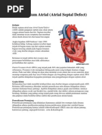 Download Defek Septum Atrial by Nanah Ifha SLlwcyank KaMoe SN76341630 doc pdf