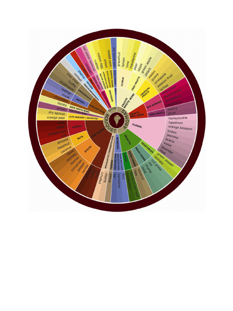 Wine Aroma Wheel | PDF
