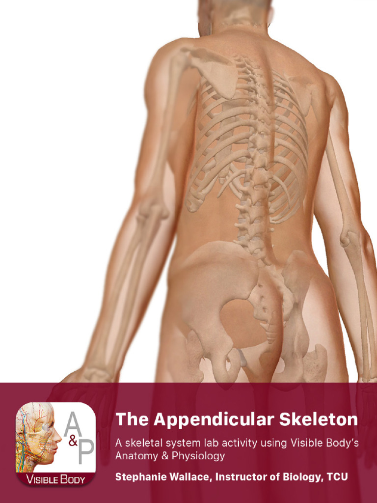 Lab #2 Appendicular | PDF