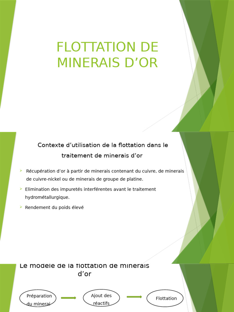 FLOTTATION DE MINERAIS D’OR | PDF