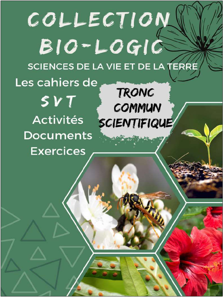 Activités SVT : Écologie et Environnement | PDF | Sol (pédologie ...