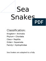 Sea Snakes FINAL