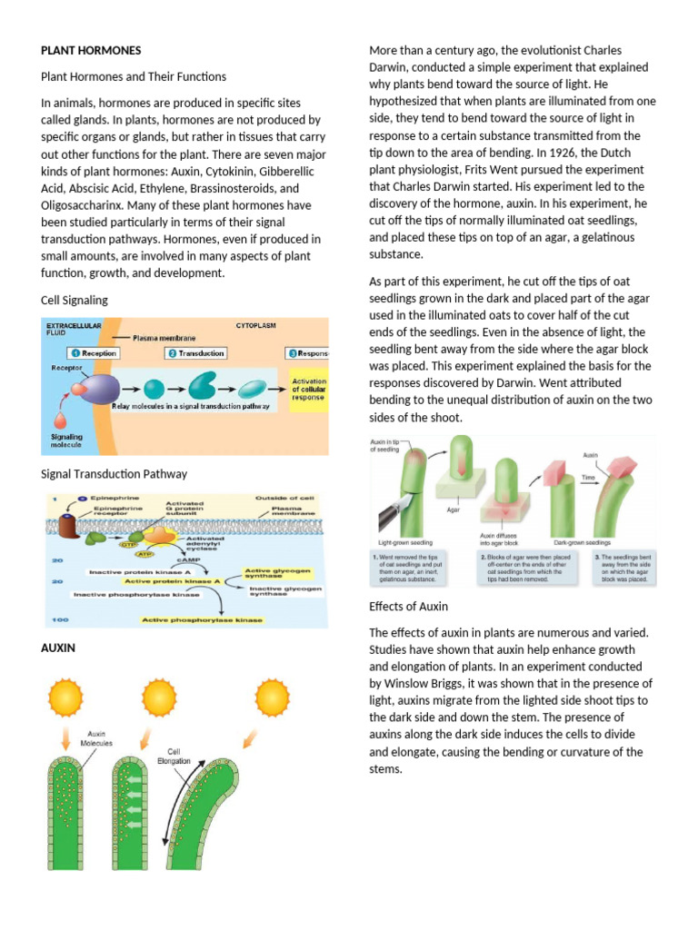 Gen Bio Reviewer 4TH Quarter | PDF