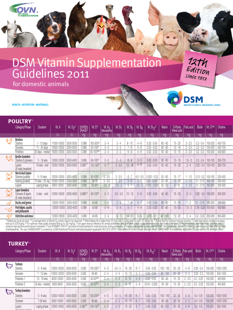 DSM Vitamin Supplementation Guidelines 2011 | PDF