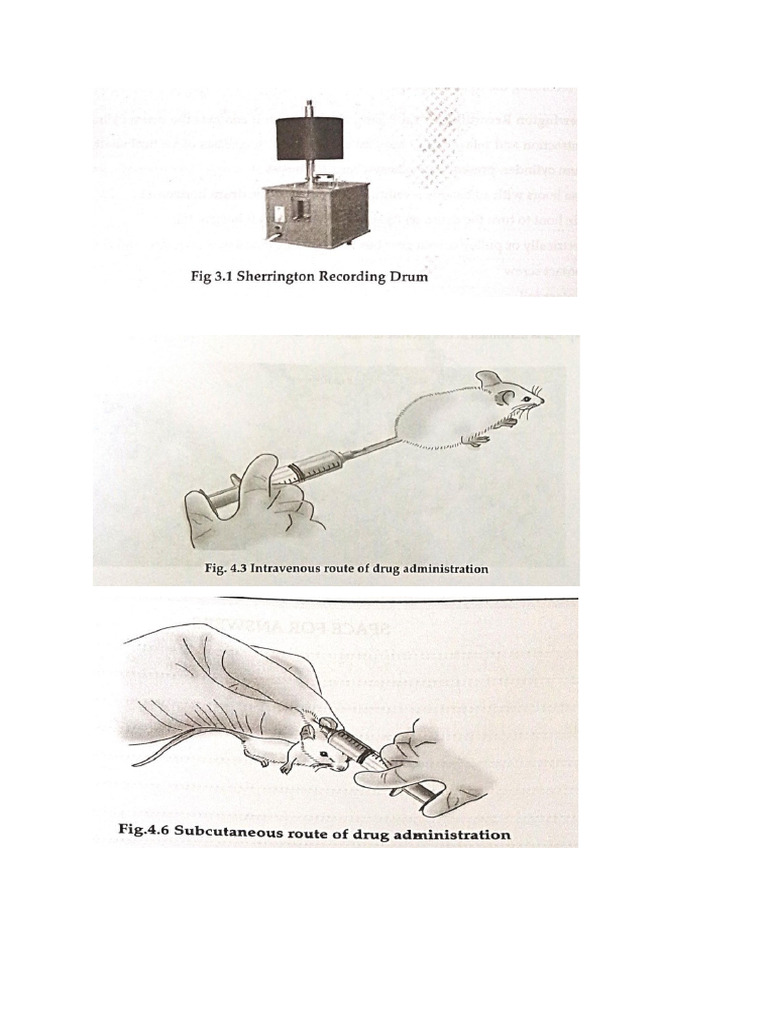 Practical Exp | PDF