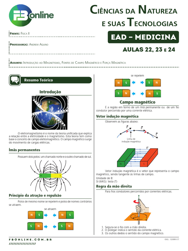 22 - Introdução Ao Magnetismo | PDF