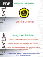 Download Presentasi Mole Gen by - SN76351199 doc pdf