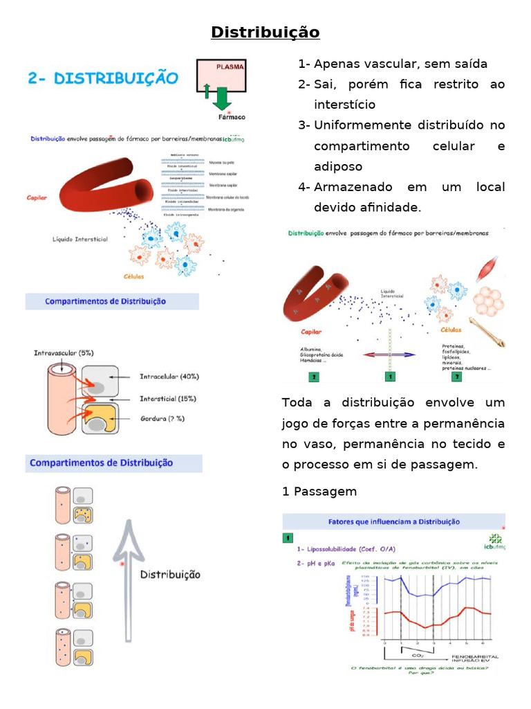 3 - Distribuição | PDF
