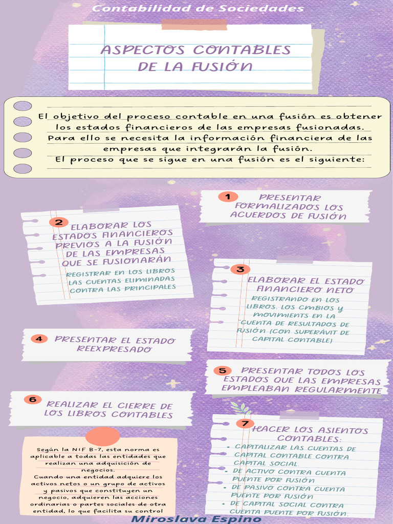 Aspectos Contables de Una Fusion | PDF
