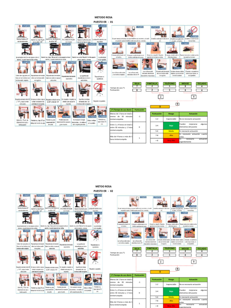 Evaluación de Puestos ER: Método Rosa | PDF