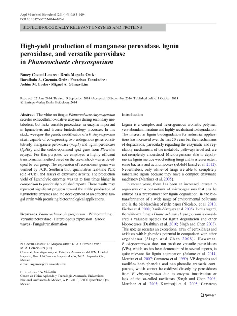 Paper pdf