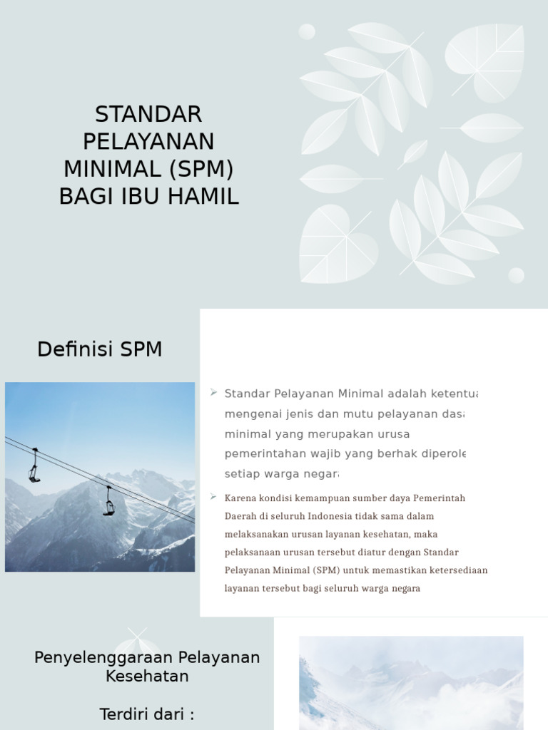 Standar Pelayanan Minimal (SPM) Bagi Ibu | PDF