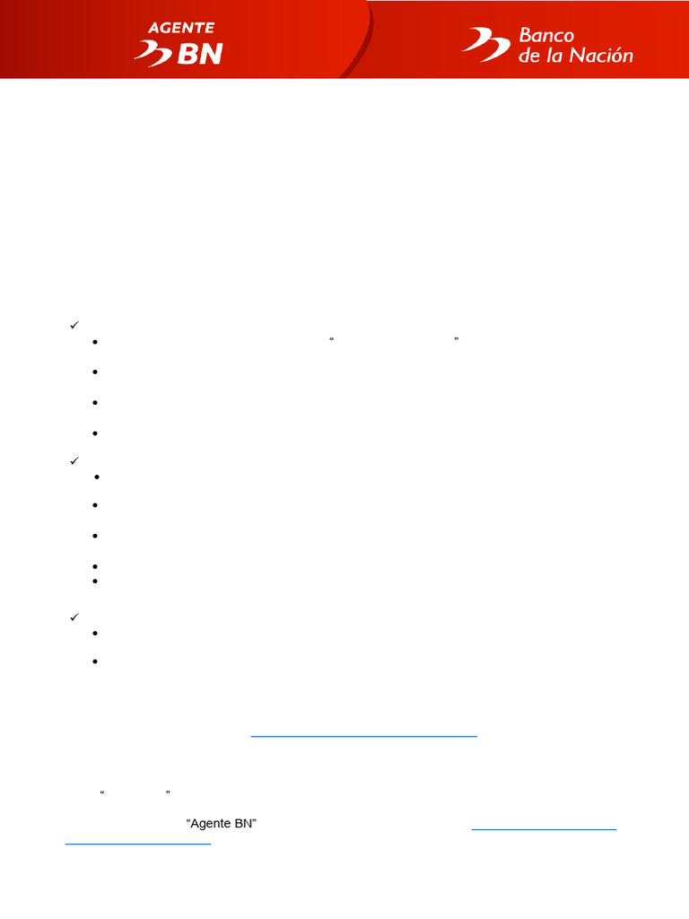 Requisitos Agente BN | PDF