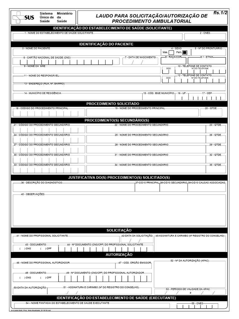 apac-editavel-modelo-pdf