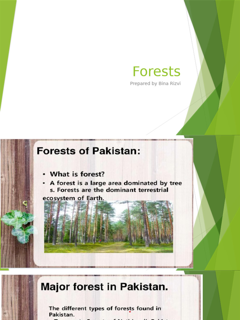 Forests (Autosaved) | PDF