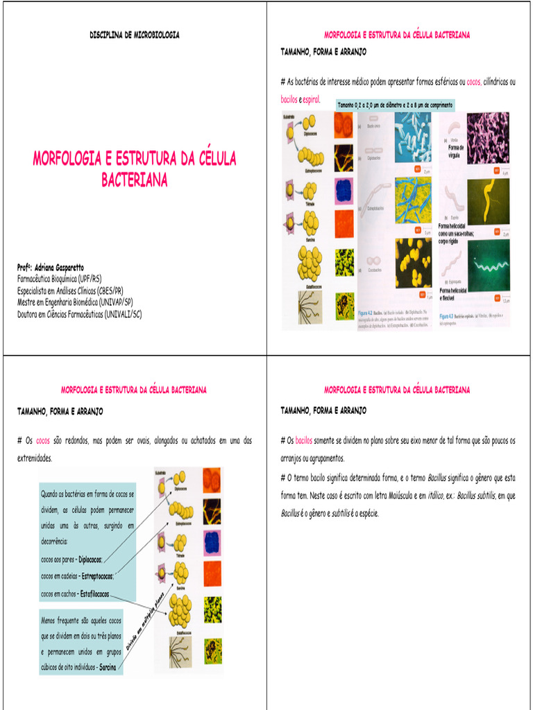 Morfologia da Célula Bacteriana | PDF | Membrana celular | Ciências e ...