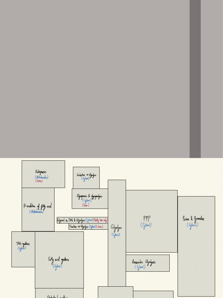 0 Metabolic Map | PDF