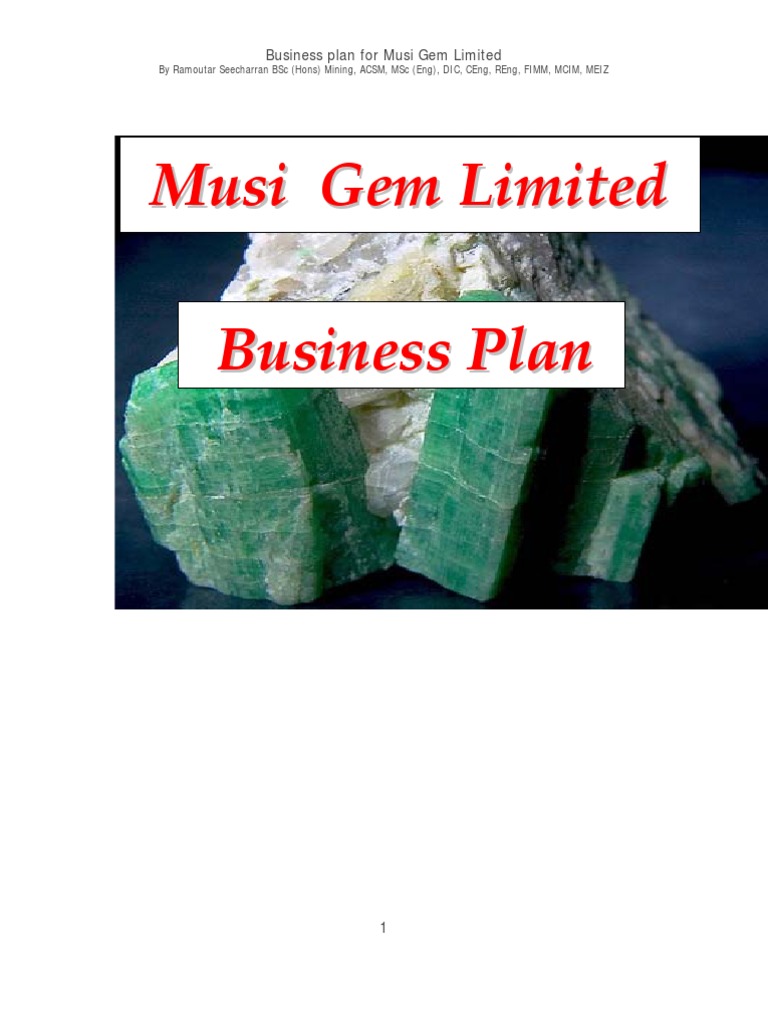 Business plan zambia 08 picture