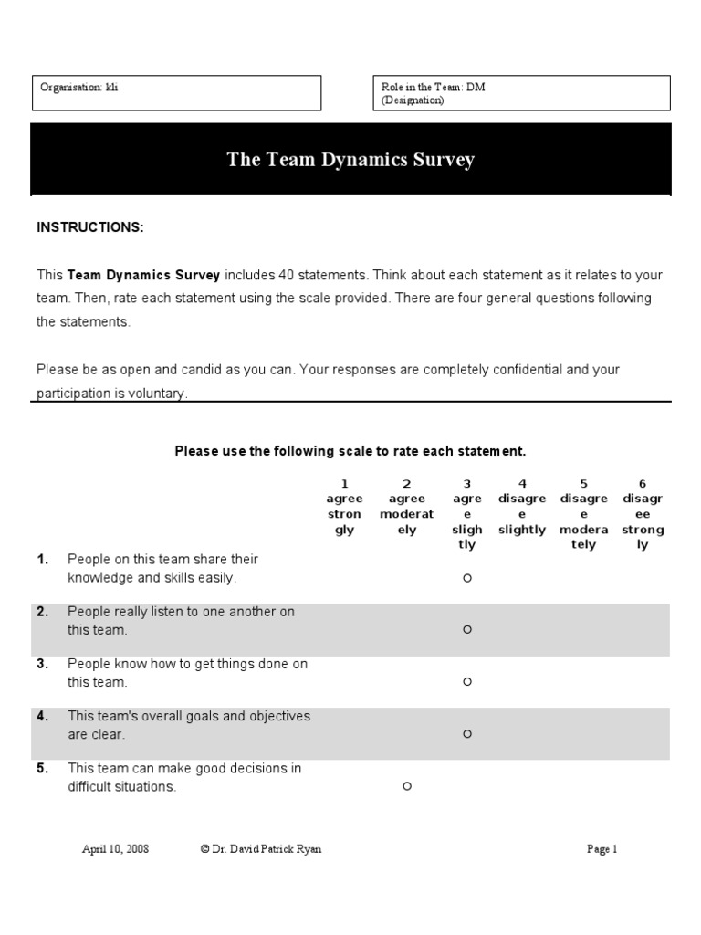 The Team Dynamics Survey: Instructions | PDF | Behavioural Sciences ...