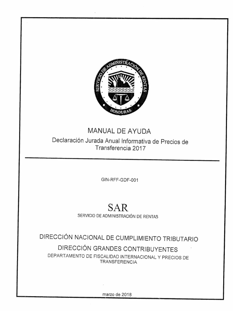 Manual de Ayuda DJIPT | PDF