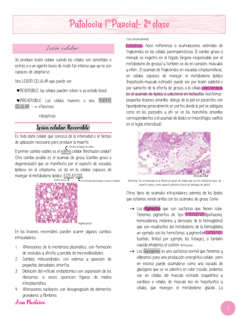 2 Aula | PDF