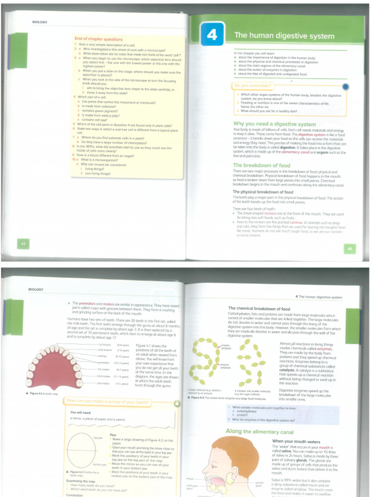 Science-1 3 Chapters | PDF