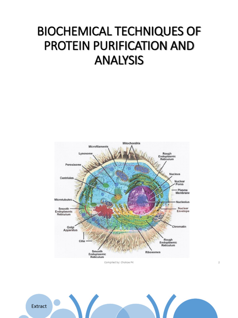 Biochemical Techniques of Protein Purification and Analysis | PDF