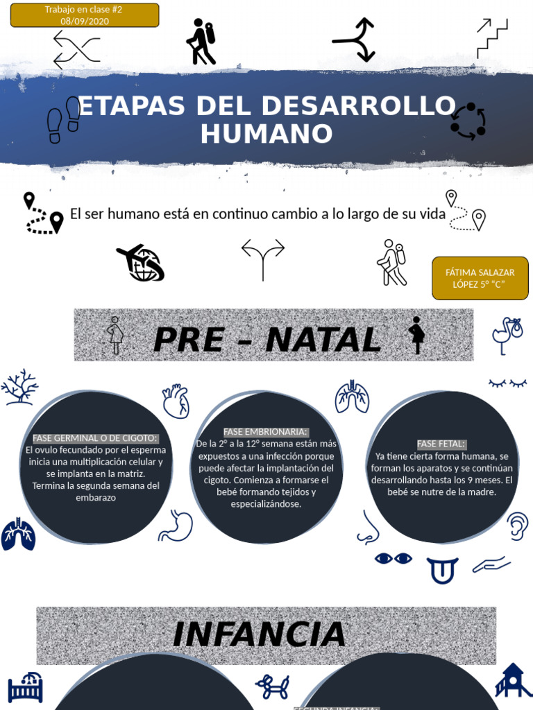 Etapas Del Desarrollo Humano | PDF | Adultos | Adolescencia