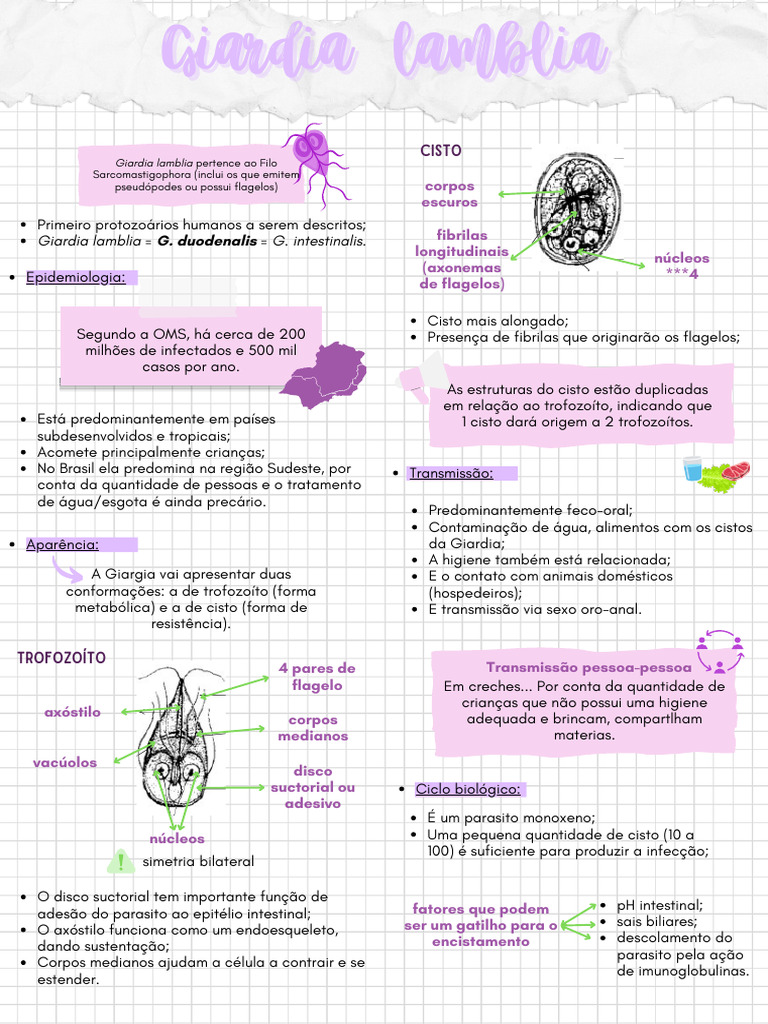 Giardia Lamblia | PDF