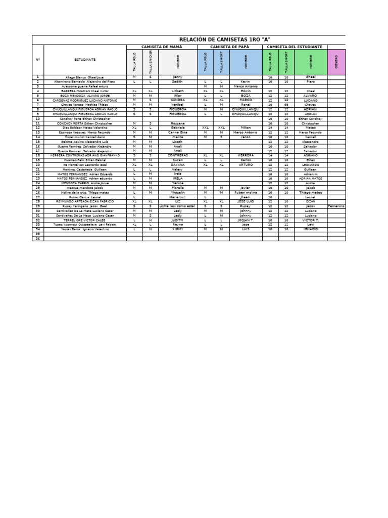 Formato De Camisetas 1roa Pdf