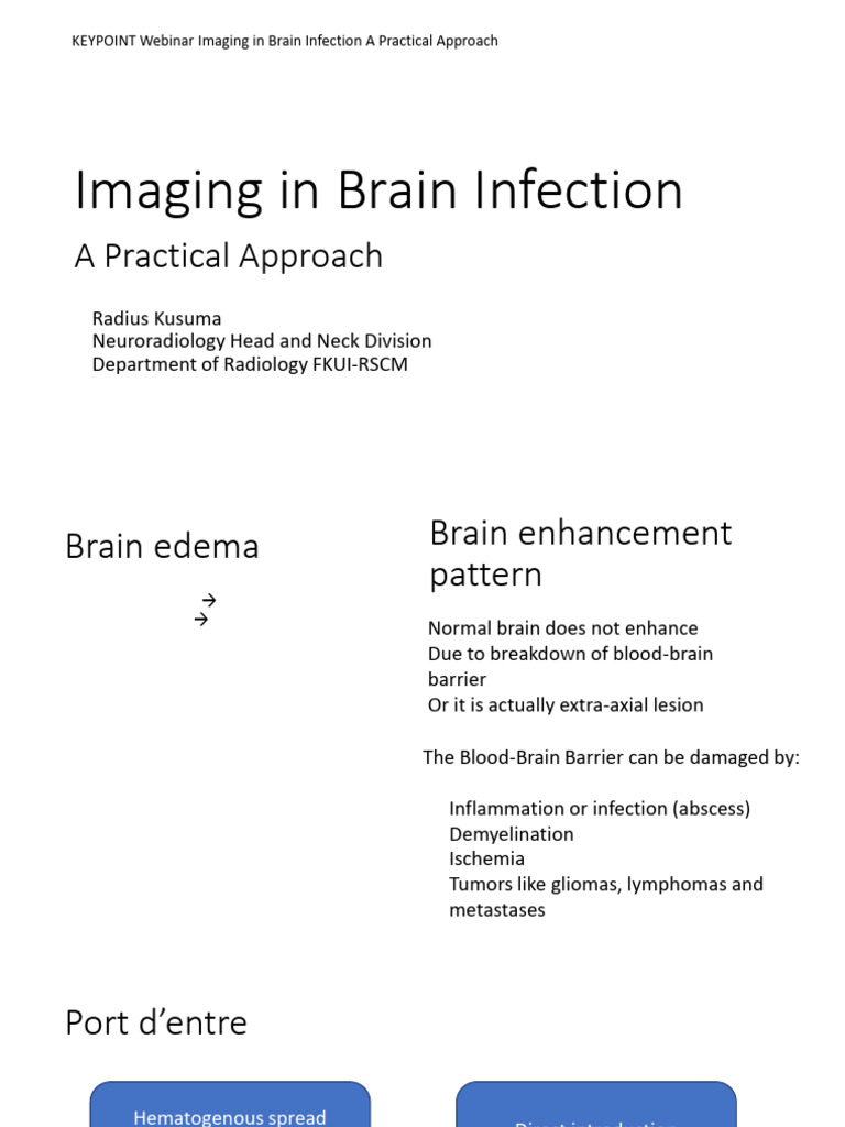 Keypoint Webinar Imaging in Brain Infection | PDF
