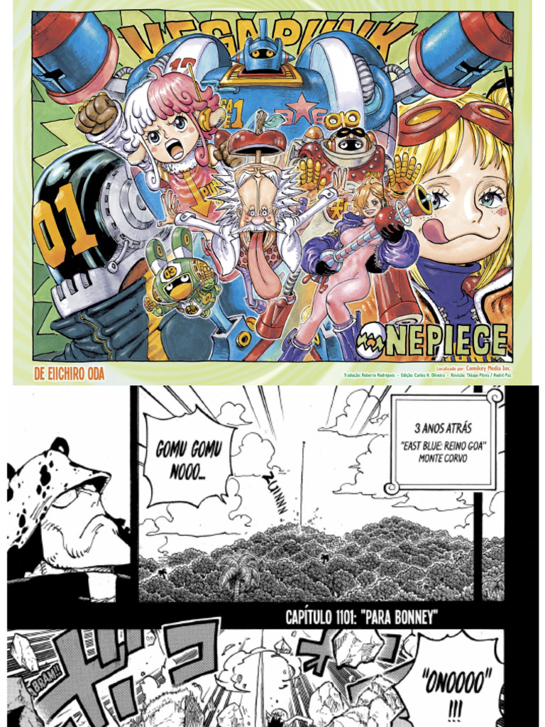 One Piece 1101 PDF