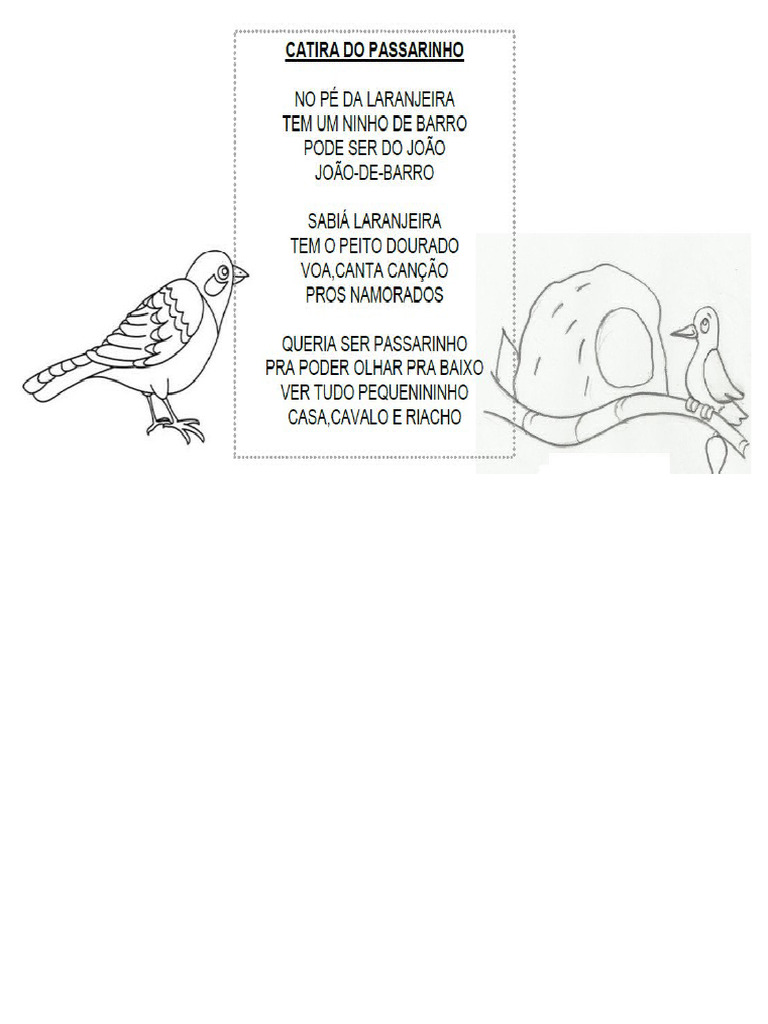 Letra Catira Do Passarinho | PDF