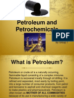 Petroleum and Petrochemicals Overview