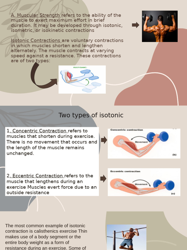 Parhfit 1 | PDF | Muscle Contraction | Strength Training