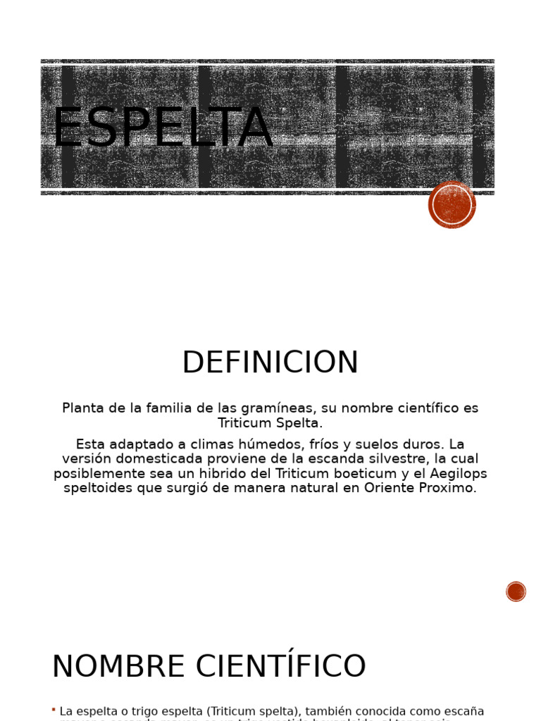 proyecto-pdf