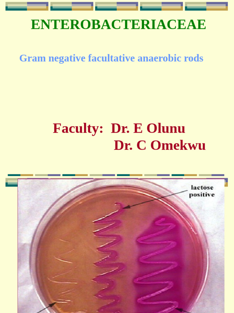 LEC 15 - ENTERIC AND NON-ENTERIC ORGANISMS | PDF