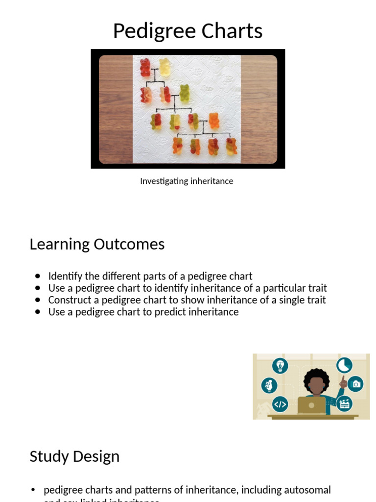 Pedigree Charts - 2023 | PDF