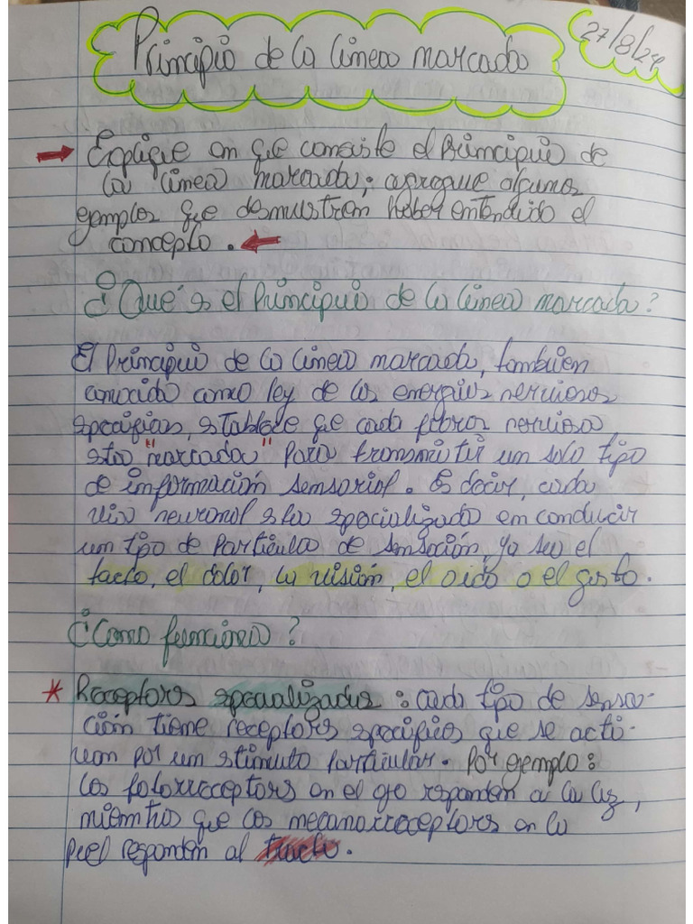 Principio de la línea marcada | PDF