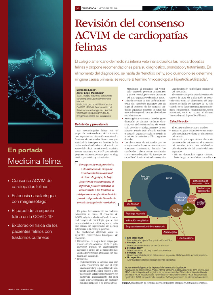 Clasificación de Miocardiopatías Felinas | PDF | Insuficiencia cardíaca ...