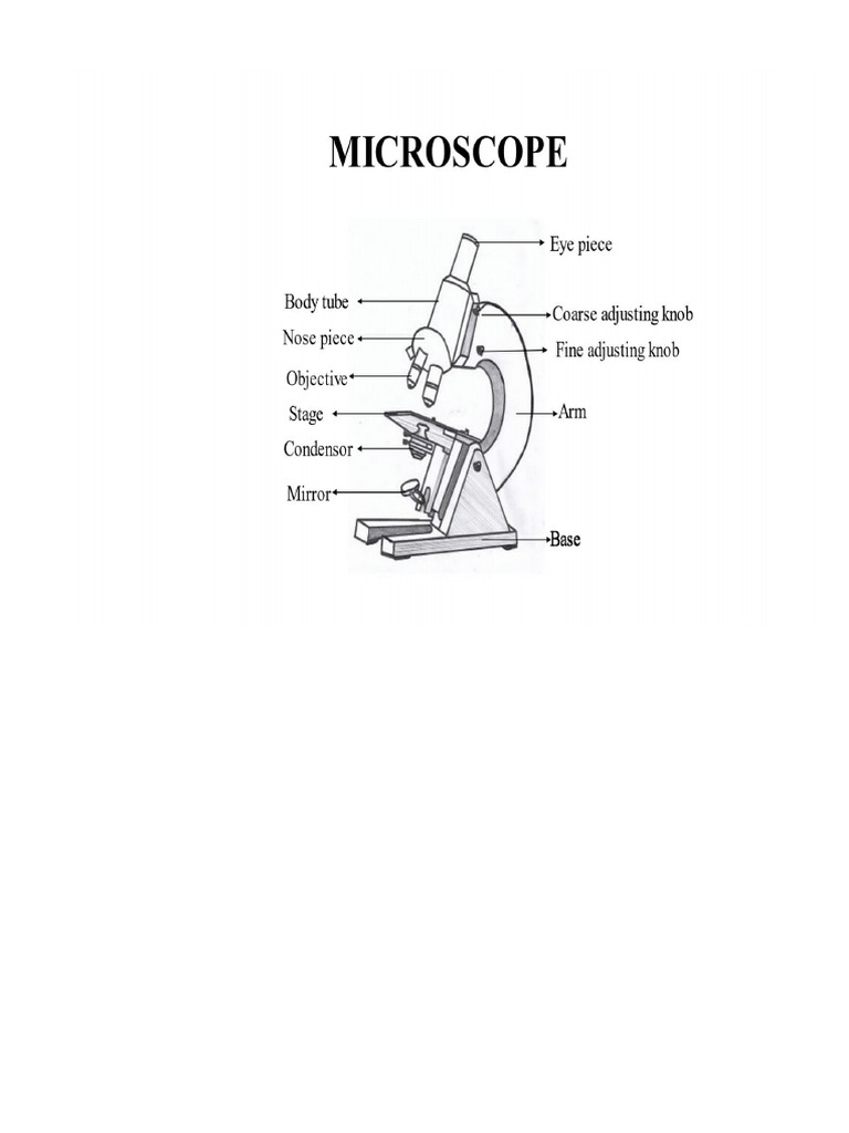 Microscope | PDF