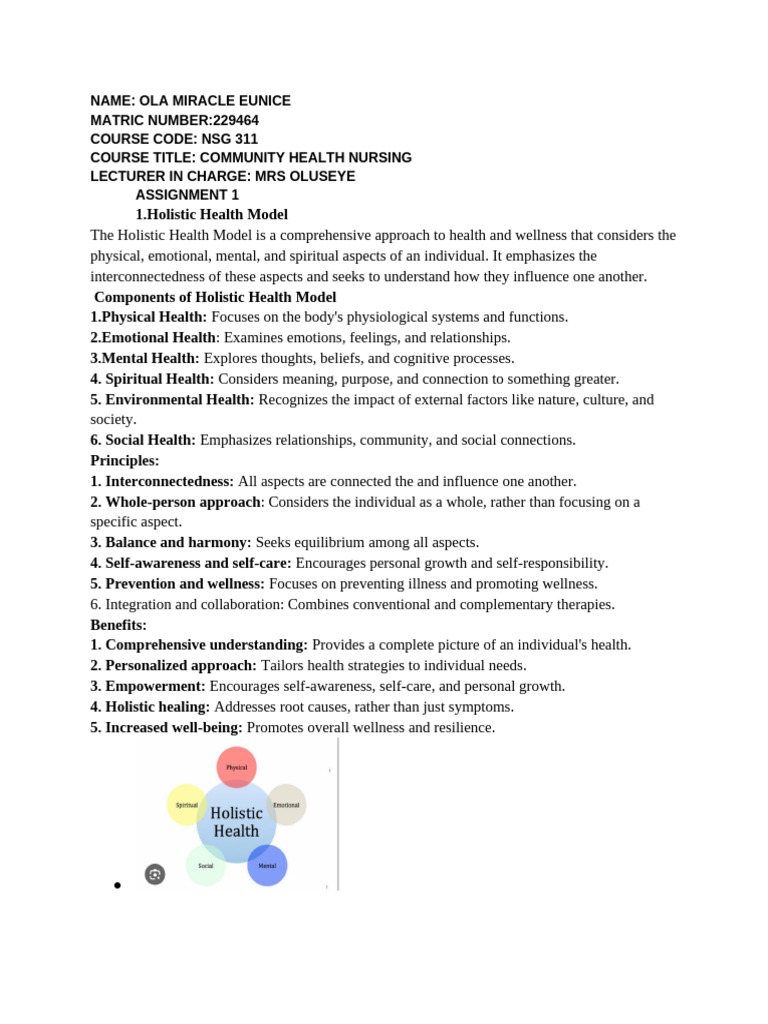 Holistic Health Model Pdf Systems Theory Health Care